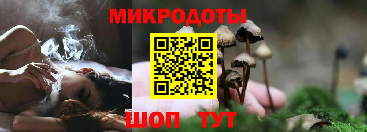 Псилоцибиновые грибы MAGIC MUSHROOMS  Вход с VPN  Мытищи 