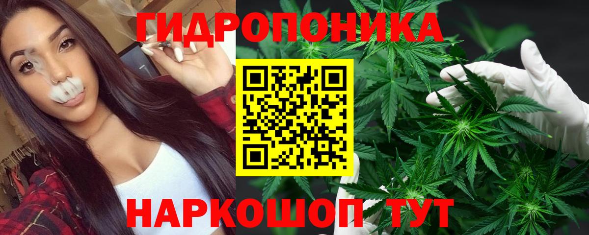 Бошки марихуана ГИДРОПОН Мытищи